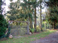 bargfeld11k
